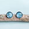 Blue Blossom Handmade Stud Earrings - Tasmanian Flower Jewellery - Myrtle & Me