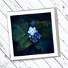 Forget Me Not Greeting Card - Tasmanian Photography - Myrtle & Me