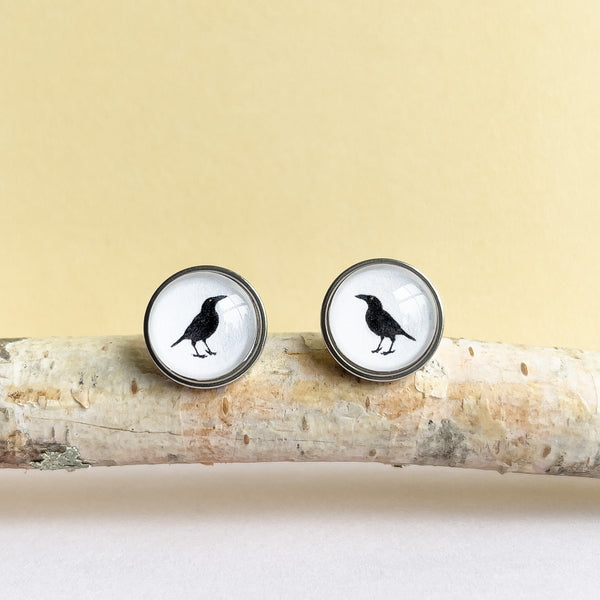 Black Currawong Bird Earrings - Tasmanian Handmade Jewellery - Myrtle and Me