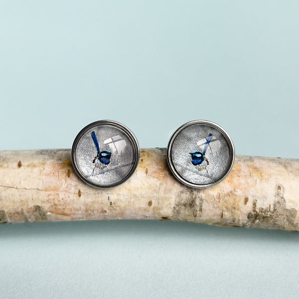 Tasmanian Blue Wren Stainless Steel Stud Earrings