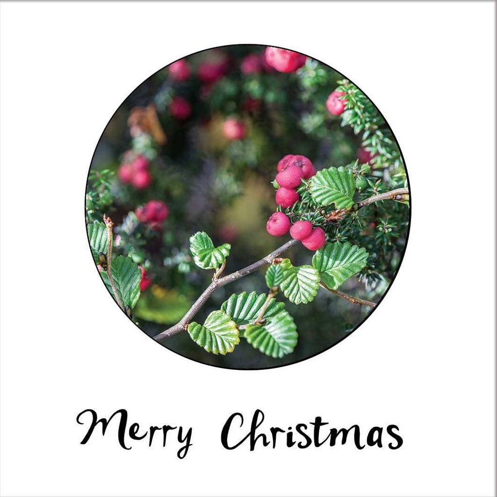 Deciduous Beech & Mountain Pinkberry - Christmas Card - Myrtle & Me
