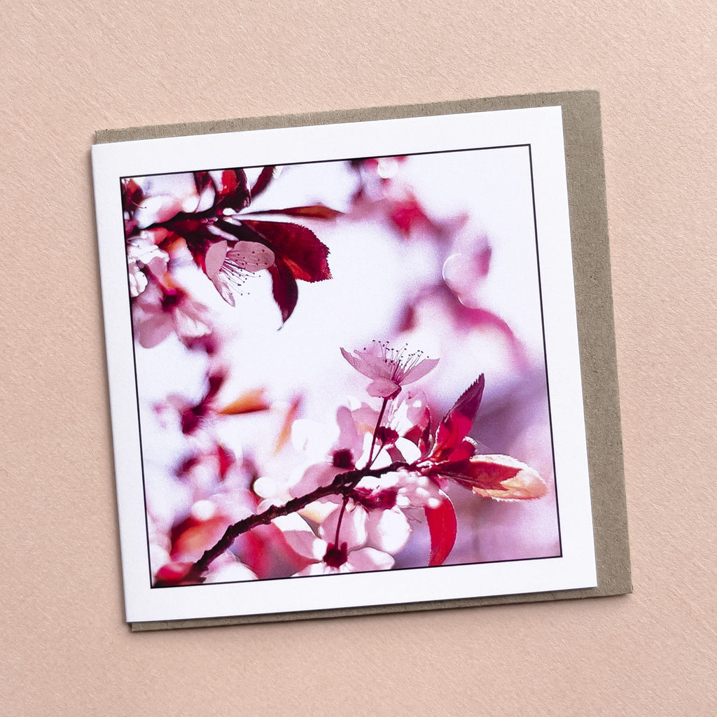 Pink Blossom - Tasmanian Floral Greeting Card By Myrtle & Me